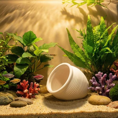 RUIAN Ceramic Jar Aquarium Decorations Fish Tank Hideout Cave Cute Pot Aquarium Accessories Decor Ornaments for Cichlid, Small Fish, Betta Fish Hideout and House (White) - color: Cute Pot (white)