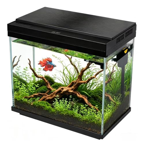 FS&AQ 3 Gallon Fish Tank with Filter and Light No-Install Small Aquarium Starter Kit