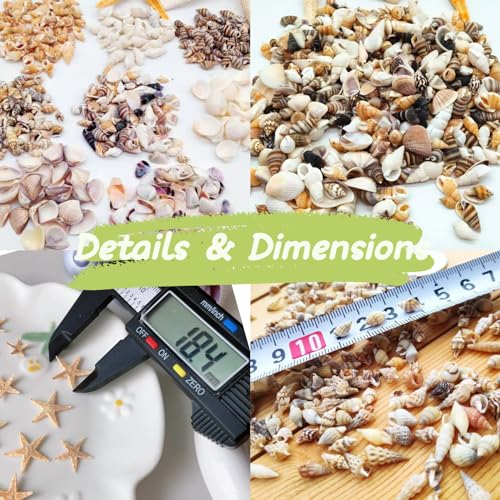 1200 PCS Tiny Sea Shells &10 Small Starfish - Mixed Ocean Beach Spiral Seashells for Fish Tank and Vase Filler, Beach Theme Party, Wedding Decor - DIY Craft Supplies
