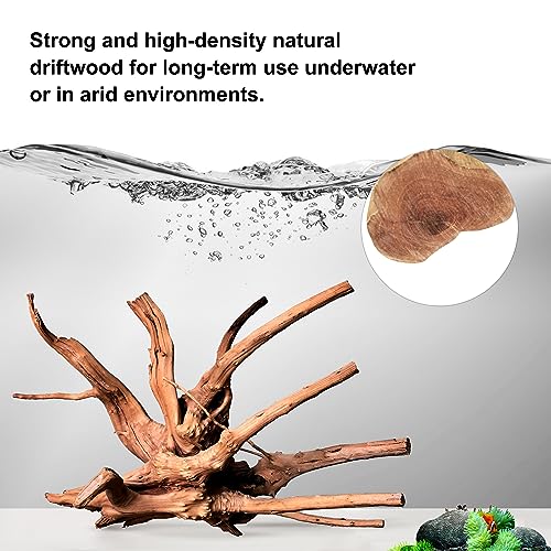 majoywoo Natural Driftwood for Aquarium Decor Fish Tank Decorations, Assorted Spider Wood Branch 7-11" 3 Pcs, Reptile Decor - size: Spiderwood 7 to 11 Inch(Pack of 3)