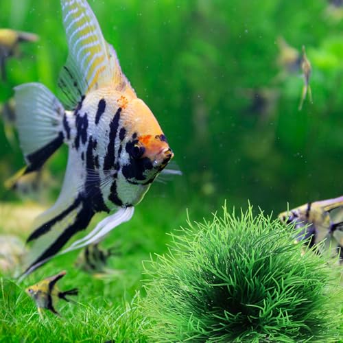 2 Pcs Aquarium Plants Decorations Fish Tank Decorations Artificial Fish Tank Plants Plastic Fishes Tanks Accessories Small Large Aquarium Decoration Plastic Artificial Plant(Light Green) - color: Light Green