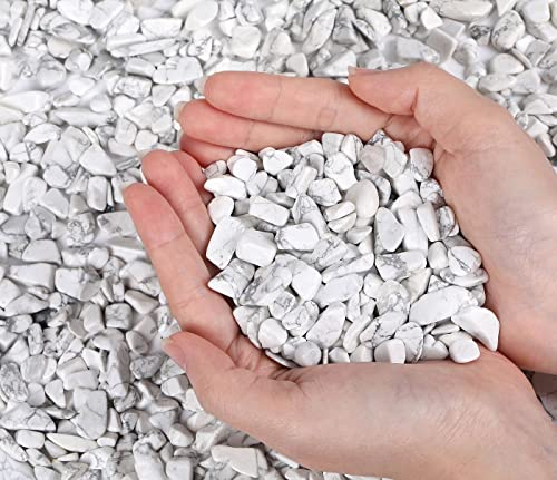 LAIDANLA Howlite Crushed Stone Crystal Chips Bulk Natural Gemstones Healing Reiki Crystals Mini Quartz Vase Filler Aquarium Gravel 100g - color: Howlite, size: 0.22 Pound-（0.2"-0.28"）