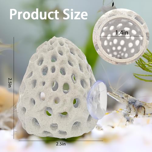Shrimp Hides for Aquarium, Shrimp Hideout with Suction Cup, Betta Fish Tank Accessories, Aquarium Decor for Small Fish Guppy Hiding Resting (White) - color: White