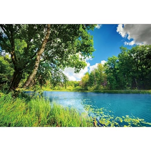 Polyester 6x4ft Park Scenery Backdrop River Blue Water and Tree Forest Garden Blue Sky Outdoor Picnic Spring Background Camping Hiking Photo Background Countryside Field Backdrop - size: 6x4ft
