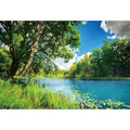 Polyester 6x4ft Park Scenery Backdrop River Blue Water and Tree Forest Garden Blue Sky Outdoor Picnic Spring Background Camping Hiking Photo Background Countryside Field Backdrop - size: 6x4ft