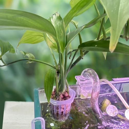 MiOYOOW Aquarium Plant Holder, 2PCS Wall-Hanging Fish Tank Plant Pot with Rooting Hole for Aquarium Plants Decorations