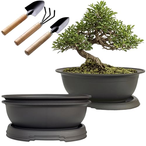 MUZHI 3 Pack Oval Bonsai Pot with Drainage Tray, Matte Finish Plastic Bonsai Growing Planters with Tools for Home Garden Plant Container (9.1" Large) - size: 9.1" Large