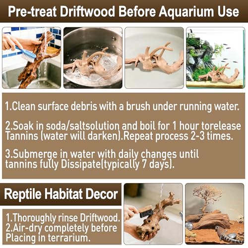 Kaiyuan Dynasty 3Pcs 8-10" Natural Aquarium Spiderwood for Reptile Terrariums Spider Wood Branch for Aquatic Plants Fish Tank Decorations - size: Spiderwood 8 to 10 Inch(Pack of 3)
