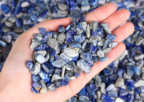 LAIDANLA Lapis Lazuli 1lb Crystal Polished Tumbled Stones Irregular Shaped Crystal Chips Bulk Natural Gemstone Aquarium Gravel Rocks Vase Filler Fish Tank Gravel Home Decoration - color: Lapis Lazuli, size: 1 Pound-（0.28"-0.35"）
