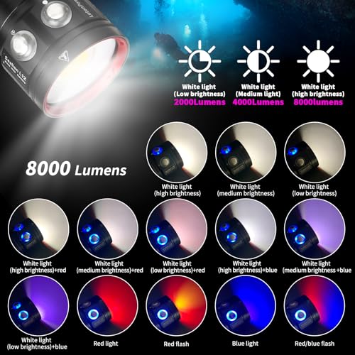Diving Flashlight, L12 8000Lumens Dive Light,100m Underwater Video Light, Scuba Dive Lights, Underwater Flashlight with Type-C Charging for Professional Under Water Sports - color: Sealion L12