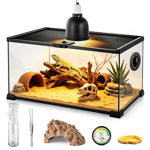 10 Gallon Reptile Terrarium Glass Kit 20" x 12" x 10" Starter Habitat for Tarantula, Succulents, Frogs, Gecko, Snake or Hermit Crabs, Tank with Escape-Proof Locking Lid - size: 10 gallon
