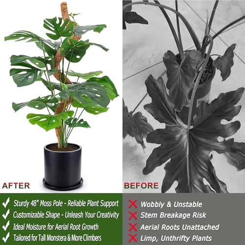 2 Pack 48'' Bendable Moss Pole for Monstera & Pothos - Tall Handmade Coco Coir Plant Support Stakes for Large Climbing Indoor Plants, Potted Houseplant Trellis Accessories - color: 2×48 Inch