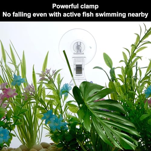 6Pcs Suction Cup Clips Aquarium Suction Cups, Window Glass Suction Cup Clear Plastic Fish Feeding Tool Underwater Fish Veggie Feeder Fish Tank Accessories