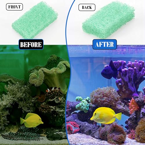 Threlaco 12 Pcs Phosphate Remover Inserts Compatible with Flex/spec/evo, Flex 32.5 Media, Replacement Aquarium Filter Media for Freshwater and Saltwater Aquariums, Removing and Reducing Phosphate - color: Green