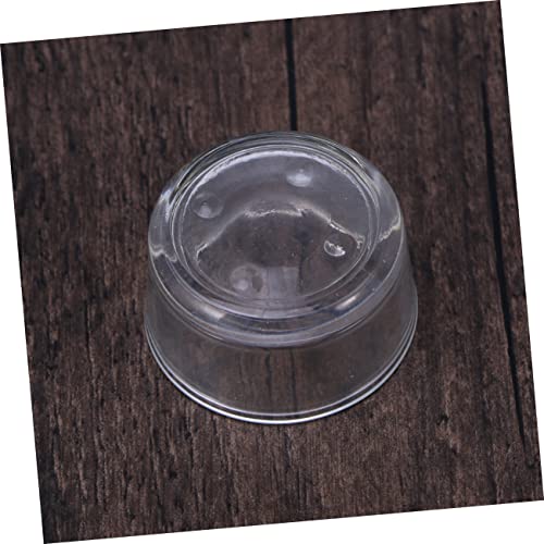Totority Clear Glass Reptile Feeder Bowl Durable Round Dish for Fish and Reptile Food Smooth Design for Tank Aesthetics Feeding for Lizards and Shrimp