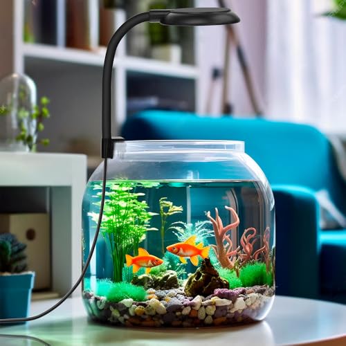 DaToo Mini Clip On Aquarium Light 7W Dimmable Small Fish Tank Light USB Moving Lamp with White Red Blue Green LED for 1 to 3 Gallon Tanks - size: Clip Light With Dimmer