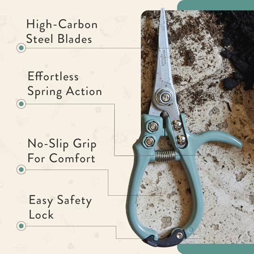 Modern Sprout Hand Pruners & Shears Set w/blister - Lightweight Gardening Tools - Easy Lock - Sharp Carbon Steel Blades - Rust Resistant Scissors for Herbs & Flowers - Gift for Father's Day - Ocean - color: Ocean