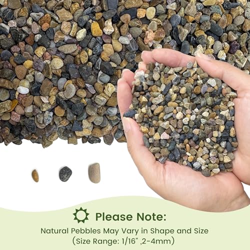 SIDONG 20LB Natural Aquarium Gravel, Small River Rocks for Fish Tank, Garden & Vase Decor - 1/16 Inch Pea Gravel, 2-4mm Polished Stones for Landscaping, Potted Plants, Terrarium - color: 20lb, size: 2-4mm