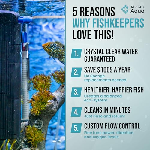20 Gallon Fish Tank Filter up to 55 Gallons | Quiet Fish Tank Filter | Crystal Clear Water | Turtle Tank Filter | Submersible Aquarium Filter, Filter for Fish Tank, 50 Gallon Fish Tank Filter - size: 20 to 55 Gallons