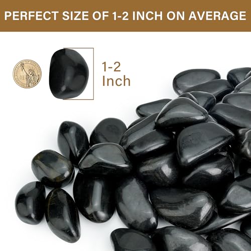NUPICK 45lb Black River Rocks for Outdoor Landscaping, 1-2 Inch Pebbles for Indoor Plants, Natural Polished Aquarium Gravel, Decorative Rocks for Succulent, Garden, Vases Fillers, Bird Baths - color: Black, size: 1-2"-45lb