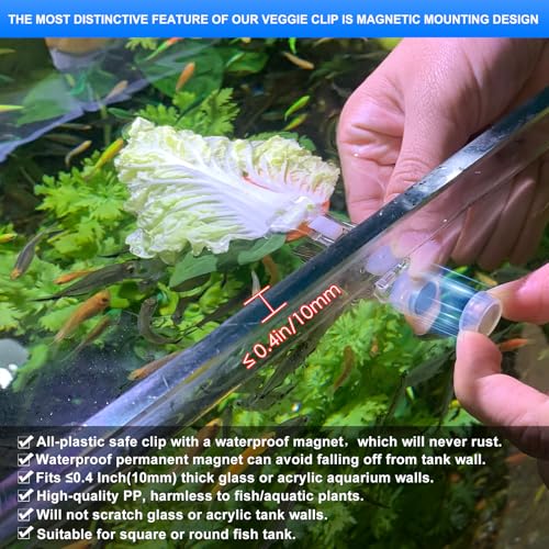 Magnetic Aquarium Veggie Clip Plant Feeding nori Seaweed Clip for Saltwater Fish Aquarium Magnet Lettuce Food clamp Fish Accessories—Patented Product (2pcs Magnetic Veggie Clip)