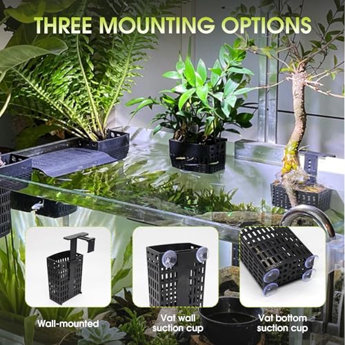 4 PCS Upgraded Aquarium Plant Holder, Adjustable thickness height Fish Tank Plant Holder with 4 Extension Hooks and 4 Suction Cups for Fish Tank Aquaponic Plant Cultivation