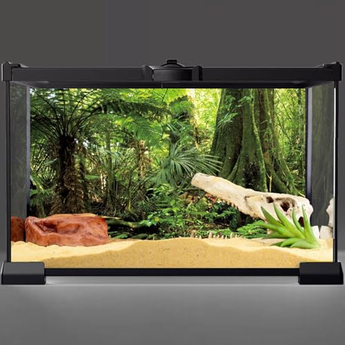 AWERT 60x24 inches Forest Terrarium Background Stone Green Huge Tree Reptile Habitat Background Tropical Rainforest Aquarium Background Durable Polyester Background - size: 60x24in/150x60cm