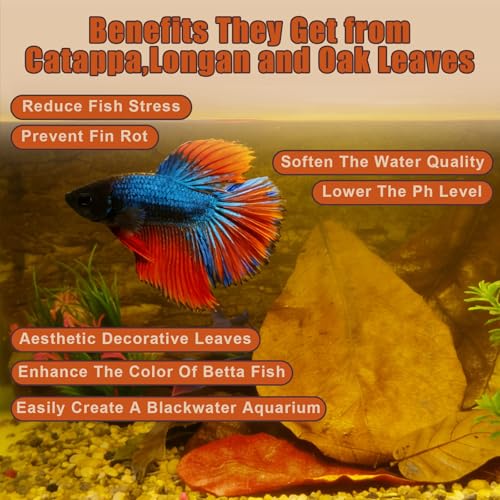 Indian Almond Leaves for Betta Fish,20Pcs Catappa,60Pcs Longan & 0.7oz Oak Leaves,Aquarium Water Conditioner Leaf,pH Balancing Water Conditioner Leaf for Betta Fish,Shrimp,Frogs,Axolotl Tanks