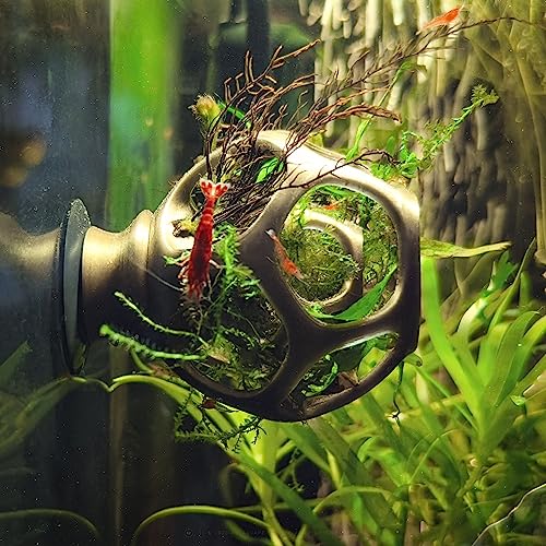 Maze Shrimp Hide | Baby Shrimp Protector & Swim-Through Hideout – Aquarium Plant Holder & Fish Tank Decor with Suction Cup (Black, Mini) - color: Black, size: Mini