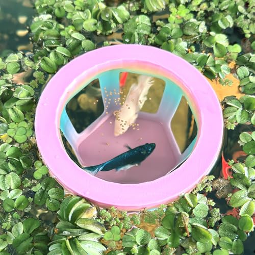 HOZOE Aquarium Betta Hammock, Betta Hideout & Cave, Floating Feeding Ring for Fish and Shrimp, Aquarium Floating Decoration Accessory (Color) - color: Color