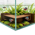 Aquarium Cave - Fish Fish Habitat Tunnel Decor for Shrimp Hideout and Betta Fish, Underwater Maze Tunnel Aquatic Decorations, Fish Habitat Accessories for Aquariums