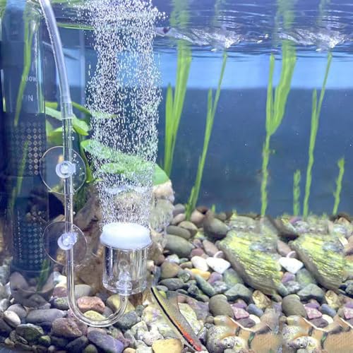 Aquarium Air Stone, Bubbler for Aquarium Fish Tank, High Dissolved Oxygen Diffuser Bubbler with 1 Check Valve, 2 Suction Cup for Aquarium (1.4 Inch) - size: 1.4 Inch