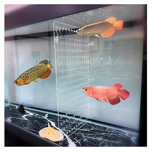 Rygcrud Aquarium Divider – 5mm Thick Transparent Acrylic Panel with Suction Cups, Fish Tank Isolation Board Partition for Divide Space(30x50cm) - size: 30x50cm
