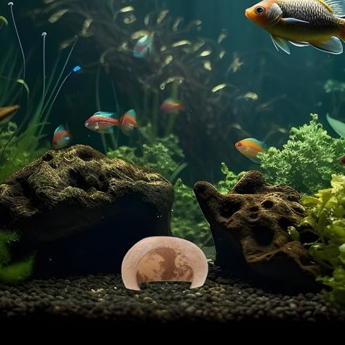 GALPADA 2pcs Coconut Shell Fish Hideout Aquarium Decoration Reptile Cave Ornament Large Size for Breeding Hiding Habitat Suitable for Shrimp Turtle Hermit Crab
