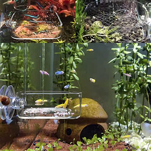 Aquarium Shrimp Feeder Dish Glass Fish Tank Feeding Bowls, 2pcs Square Glass Food Bowl (60mm), 1pcs Round Fish Feeding Bowls with Suction Cups (60mm) - size: 3x Bowl Combine 4