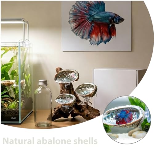 3 Pcs Betta Hammock, Rainbow Iridescent Floating Fish Cave, 3D Printed PLA Aquarium Resting Spot with Feeder Ring, Betta Hideout Shrimp Cave for Nano Tank