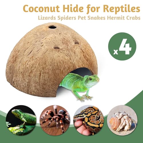 4 PCS Natural Coconut Reptile Hideouts Lizard Coco Hut Hermit Crab Hut Aquarium Fish Hide Cave Spider Snail Climber Toys - size: 4 PCS Smooth Surface