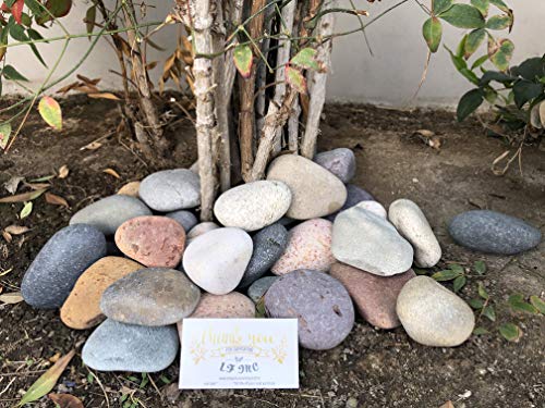 50 Lb. Premium Large Mixed Mexican Beach Pebbles 3-5 inches, Decor, Garden, Landscape, Pathways, Backyard, Rock Pebbles