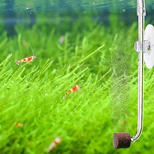 DONGKER Aquarium CO2 Diffuser,Acrylic Fish Tank CO2 Atomizer with Suction Cups for 4mm I.D. CO2 Air Tube(Up to 30cm Fish Tank)