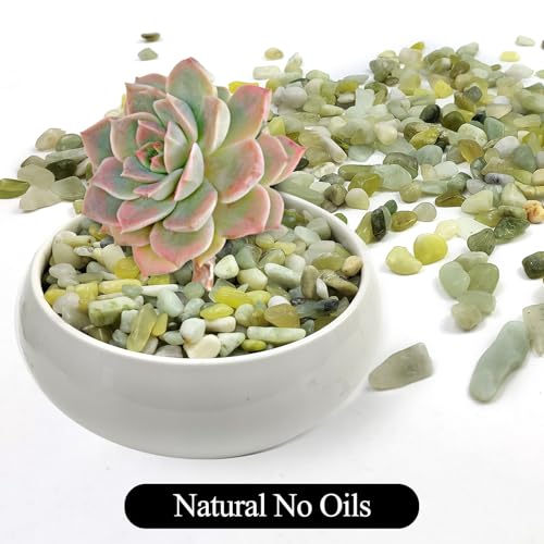 10LB Jade Pebbles for Landscaping, 0.7-1.2 Inch Natural Decorative Stones, Polished River Rocks for Succulent,Planters, Landscaping, Vase, Flowerpot, Indoor Plants and Outdoor Garden Decoration - size: 10LB, style: Jade
