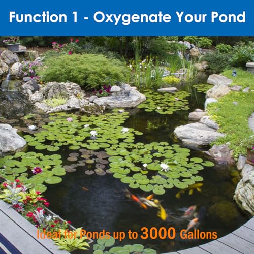 AquaMiracle All-in-One Koi Pond Aerator for Outdoor Ponds up to 3000 Gallons, Pond Air Pump Pond Aeration System with 4-Outlet Manifold Airline Tubing Air Stones Check Valves - size: Up to 3000 Gallon