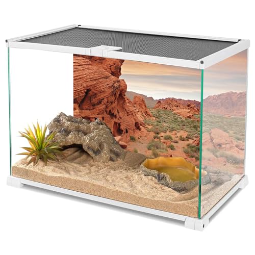 YongFoto Reptile Tank Terrarium Background 30x12 inch Desert Rocky Bush Thorns Western Wilderness Reptile Habitat Background Bearded Dragon Fish Tank Aquarium Polyester Backdrop - color: Orange-4, size: 30 x 12 in
