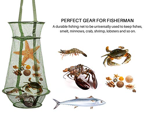 Collapsible Fish Basket Mesh Fish Trap Portable Fish Cage Foldable Fishing Keep Net for Keeping Fish Alive, Bait Storage Crayfish Crab Minnows Shrimps Lobsters - color: Green