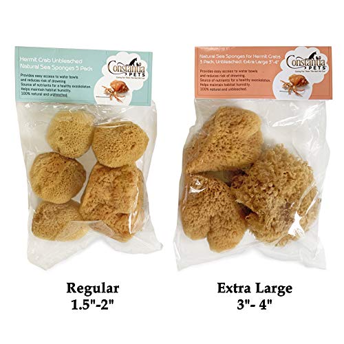 Hermit Crab- All Natural Sea Sponges - 5 Pack Unbleached, Provides Nutrients, Safer Drinking, Helps Maintain Habitat Tank Humidity and Aquarium Decor, Premium Care for Your Crabs