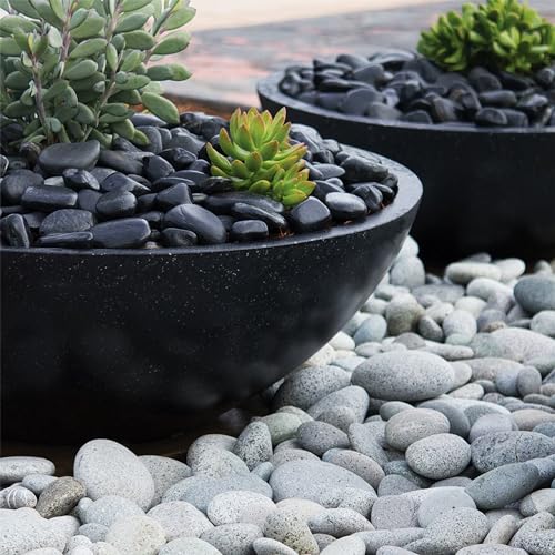 White Pebbles for Landscaping 40lbs, 1-2Inch Natural River Rocks for Aquarium, High Polished Decorative Stones for Vase Filler Fish Tank Gardening - color: White, size: 40 Pounds
