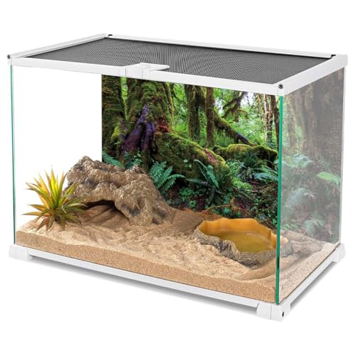 AWERT 48x24 inches Tropical Forest Terrarium Background Green Huge Tree Reptile Habitat Background Rainforest Aquarium Background Durable Polyester Background - size: 48x24in/120x60cm