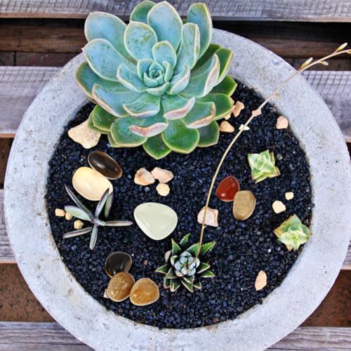 Pack Polished River Rocks Gravel for Aquarium Succulents Bonsai Planters Outdoor Landscaping Decorative Natural Pebbles for Walkways Fountains and Crafts