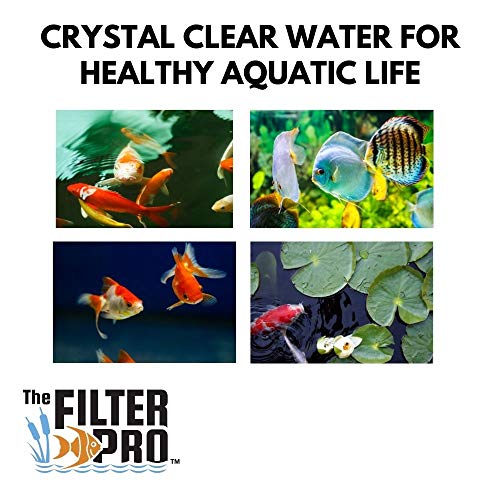 Green Coarse Filter Media, 2" Thick, 16" x 56" Roll, Perfect for Aquariums, Ponds or Water Gardens, Made in USA