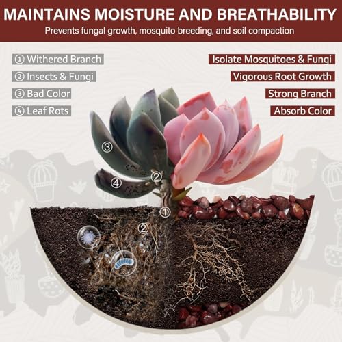 3 lbs Pebbles for Indoor Plants, 3/8 Inch Pea Gravel for Fish Tank, Polished Decorative Rocks for Succulent, Natural River Stones for Vases, Cactus, Landscaping, Bird Bath, Aquarium, Red - color: Red, size: 3 Lb