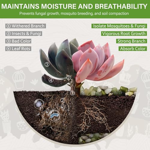 3 lbs Pebbles for Indoor Plants, 3/8 Inch Pea Gravel for Fish Tank, Polished Decorative Rocks for Succulent, Natural River Stones for Vases, Cactus, Landscaping, Bird Bath, Aquarium, Jade - color: Jade, size: 3 Lb